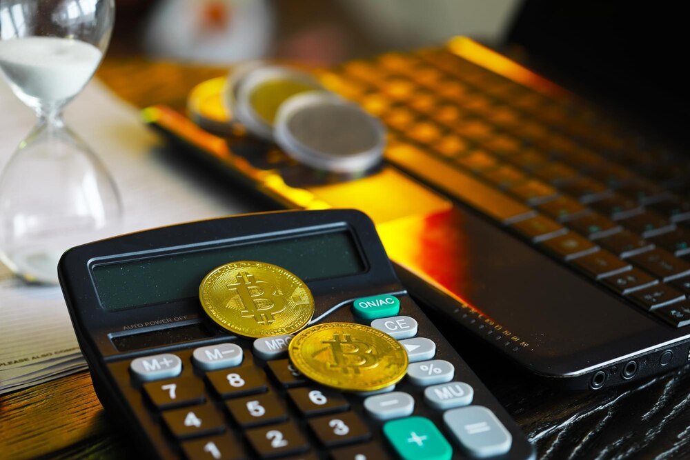 Crypto Future Profit Calculator