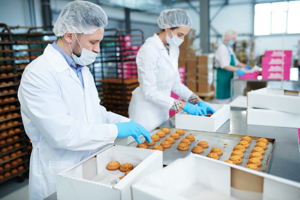 Small Scale Food Factory Ideas