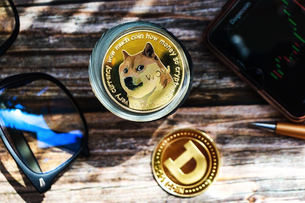 Elon Musk Doge Coin
