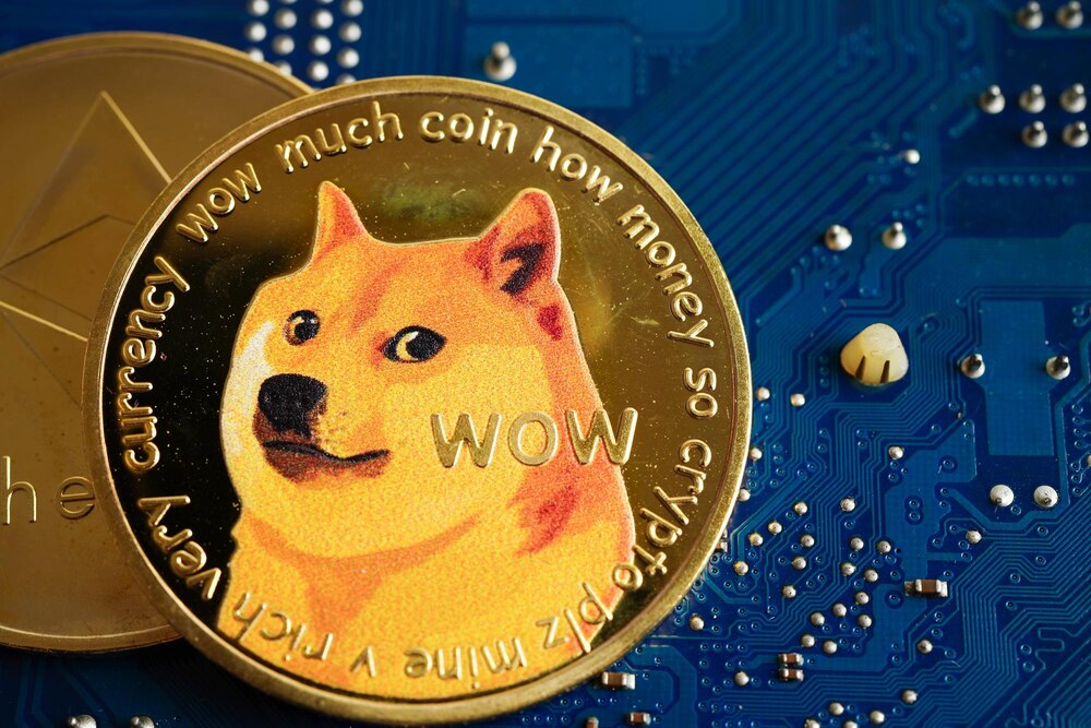 Elon Musk Doge Coin