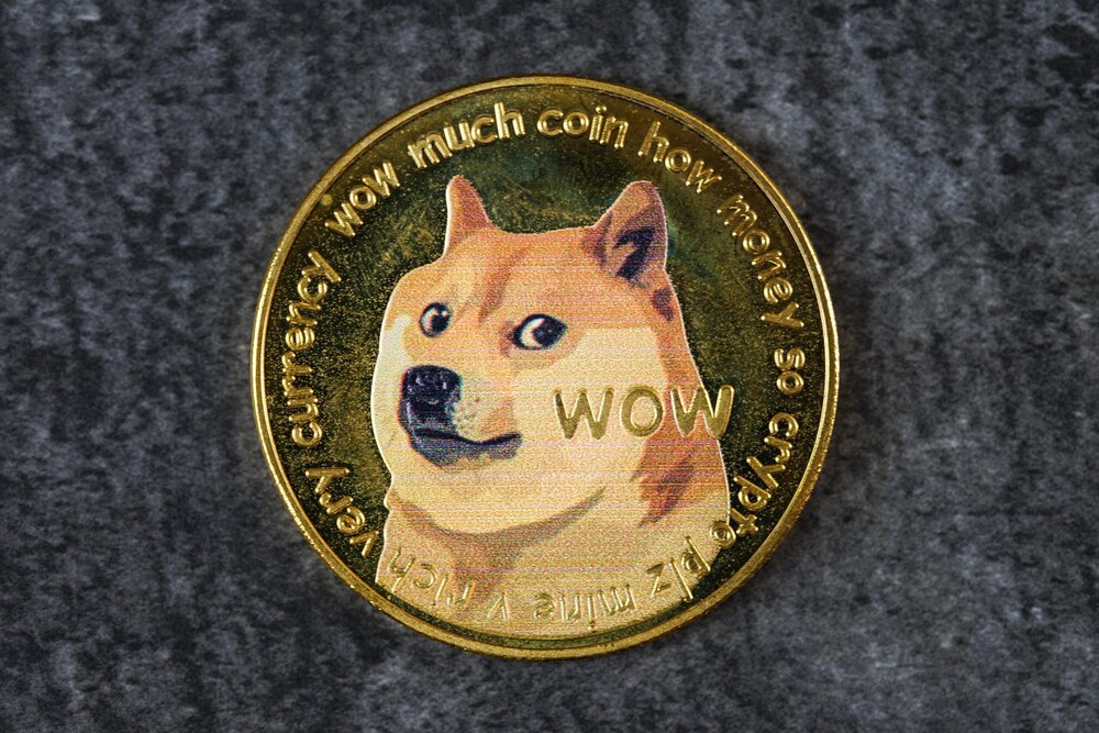 Elon Musk Doge Coin