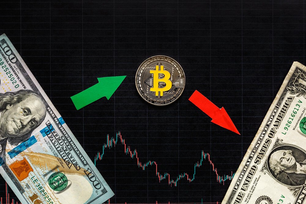 Investment Plan