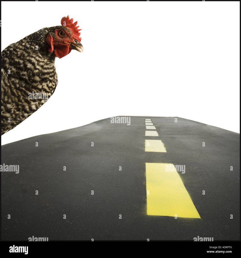 Best chicken road nederland in Netherlands